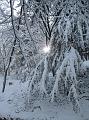 Neve (28)